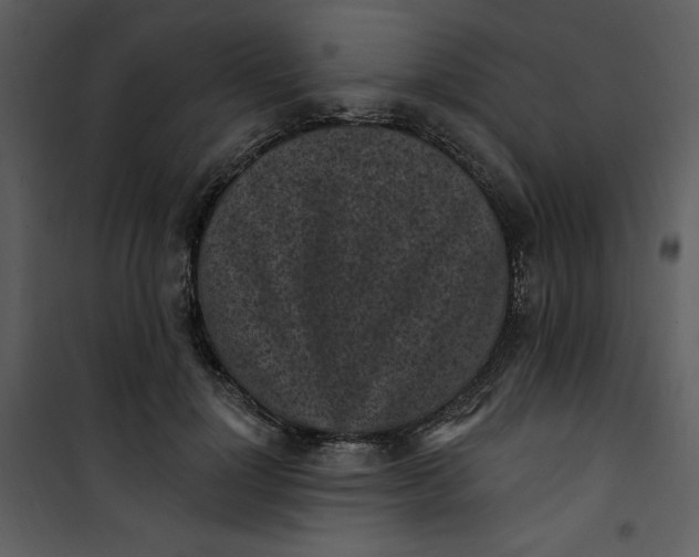 X0000101230748200807181602