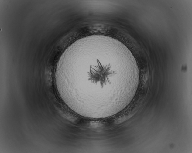 X0000101230749200807181602