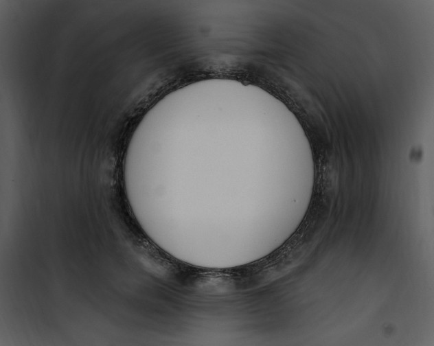 X0000101230750200807181602