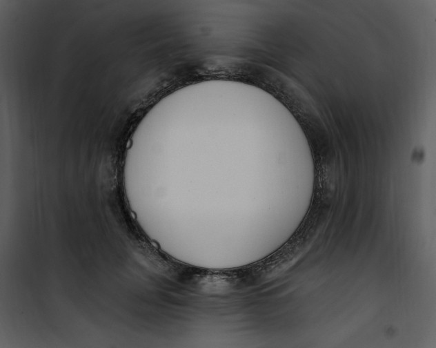 X0000101230751200807181603