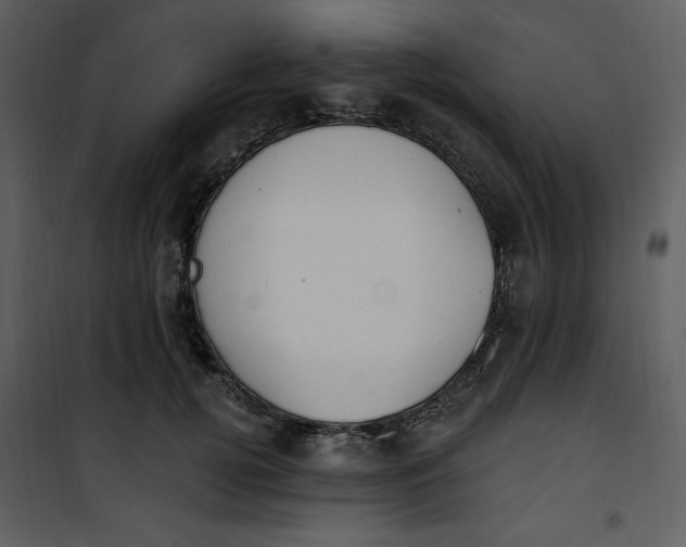 X0000101230752200807181603