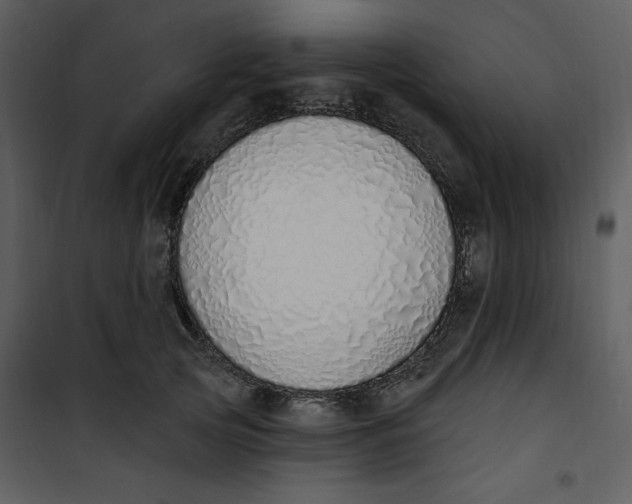 X0000101230753200807181603