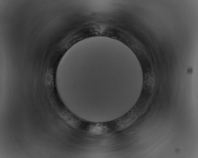 X0000101230754200807181603