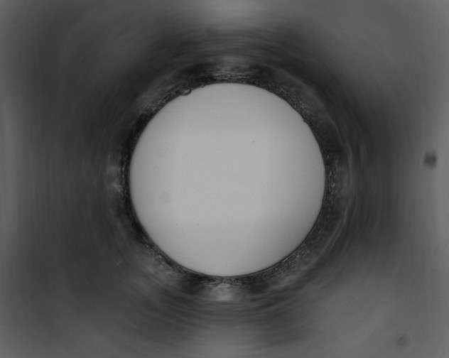 X0000101230755200807181603