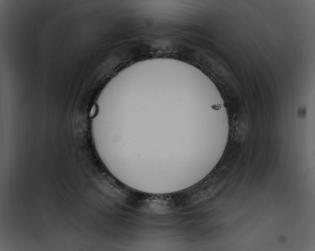 X0000101230756200807181603