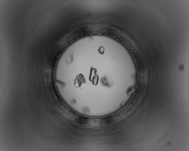 X0000101230757200807181603