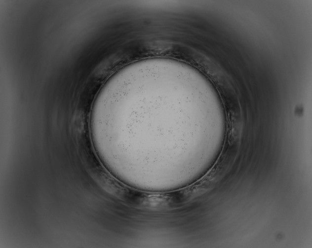 X0000101230758200807181603