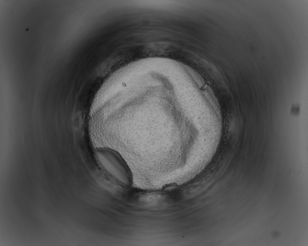 X0000101230759200807181603