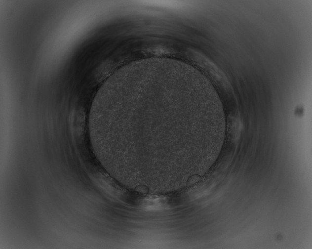 X0000101230760200807181603