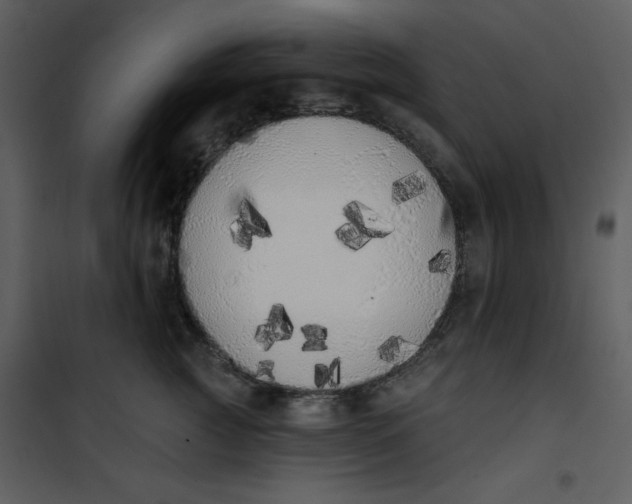 X0000101230761200807181603