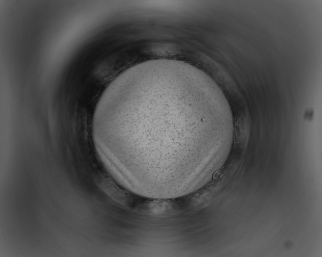 X0000101230762200807181603