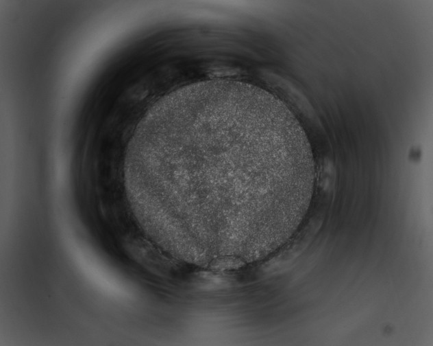 X0000101230763200807181603