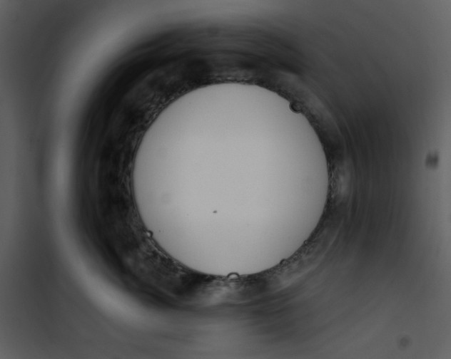 X0000101230764200807181603