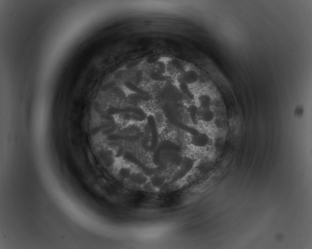 X0000101230765200807181603