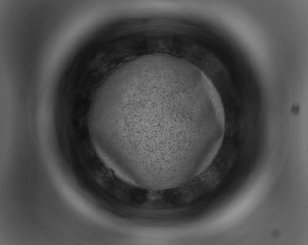 X0000101230766200807181603