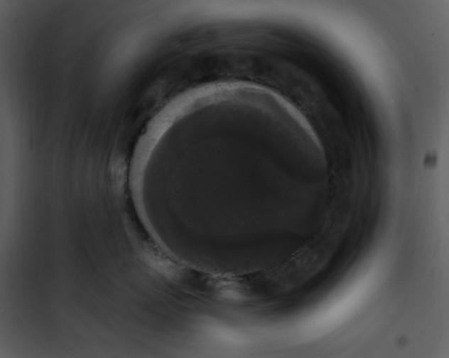 X0000101230767200807181603