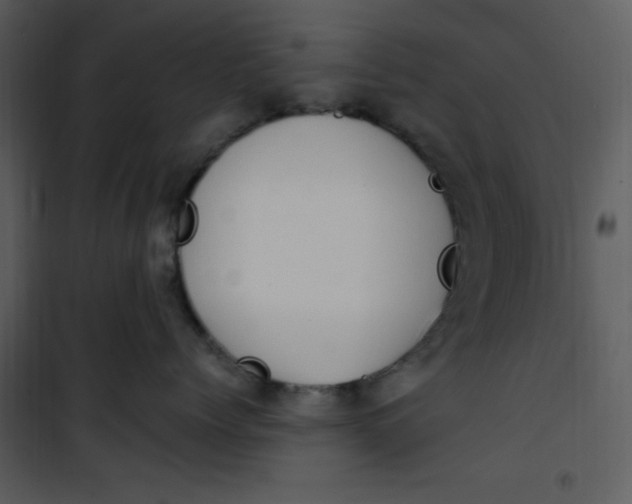 X0000101230768200807181603