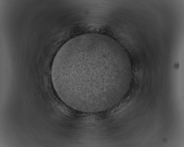 X0000101230769200807181602