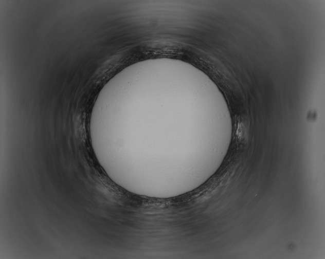 X0000101230771200807181602