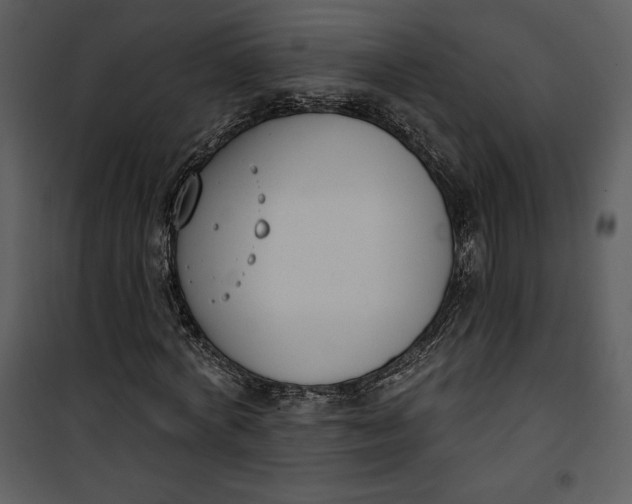 X0000101230772200807181602