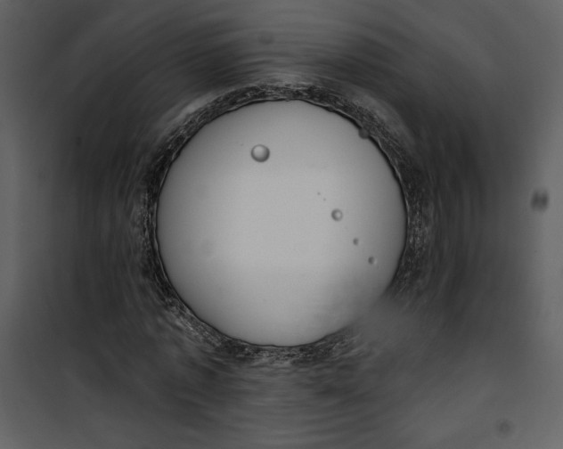 X0000101230773200807181602