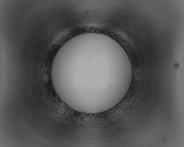 X0000101230774200807181602