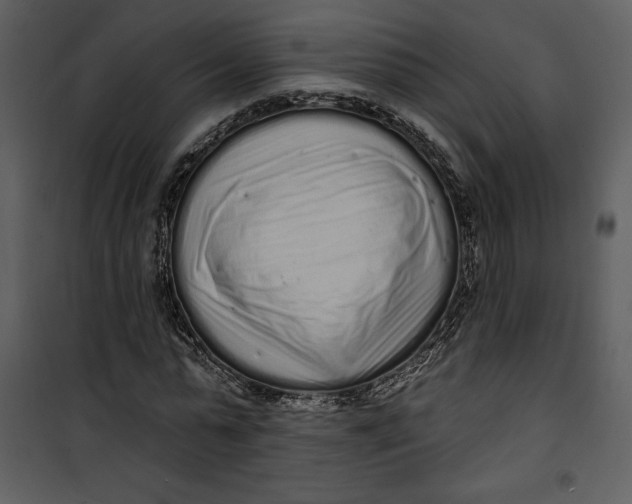 X0000101230775200807181602