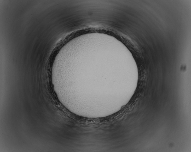 X0000101230776200807181602