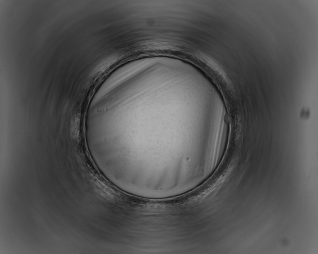 X0000101230777200807181602