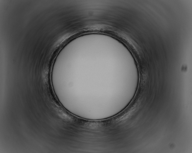 X0000101230778200807181602