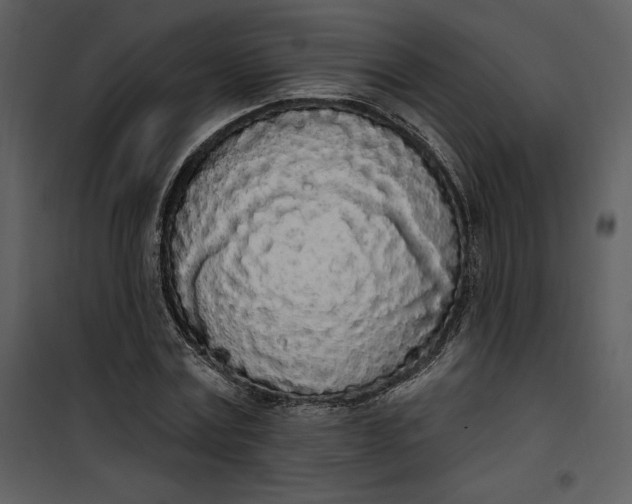 X0000101230779200807181602