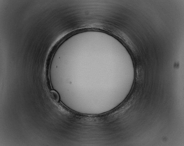 X0000101230780200807181602