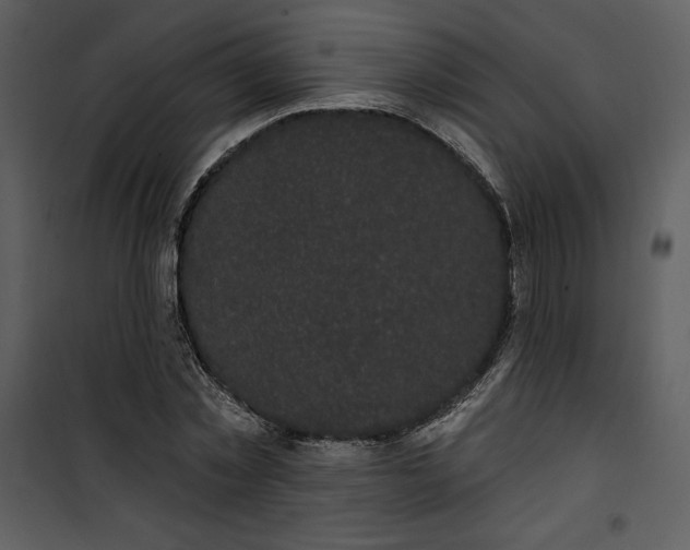 X0000101230781200807181602