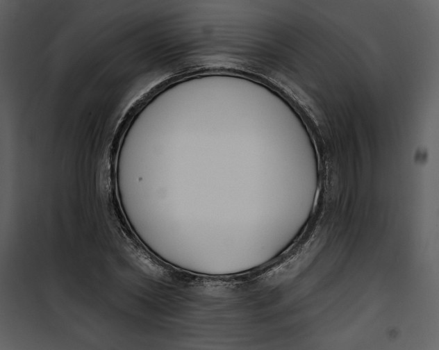 X0000101230782200807181602