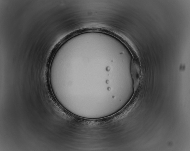 X0000101230783200807181602