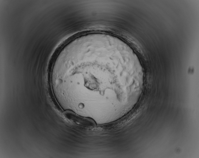 X0000101230784200807181602