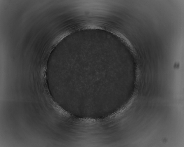 X0000101230785200807181602