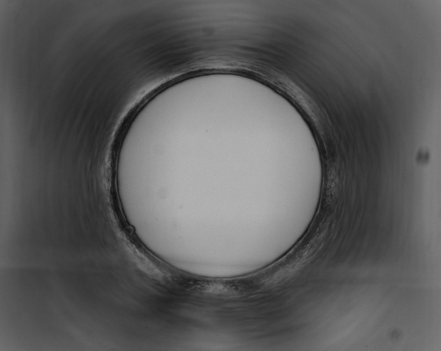 X0000101230787200807181602