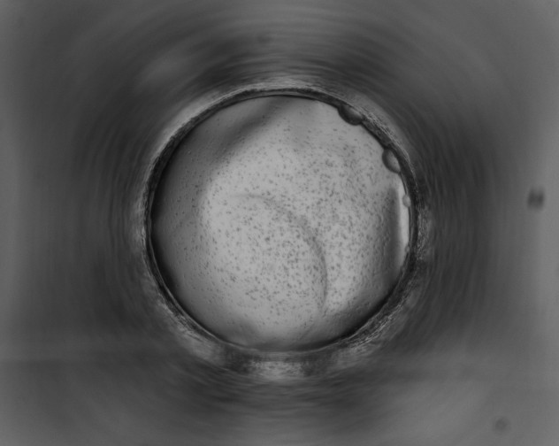 X0000101230789200807181602