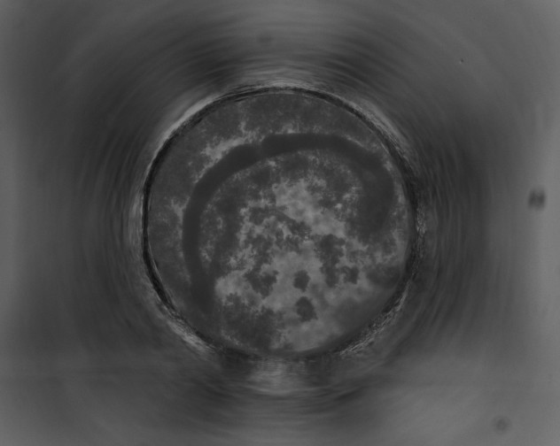 X0000101230790200807181602