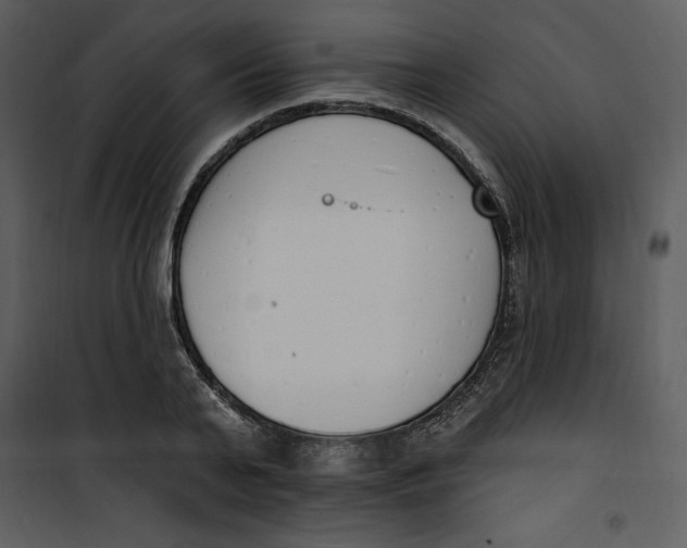 X0000101230791200807181602