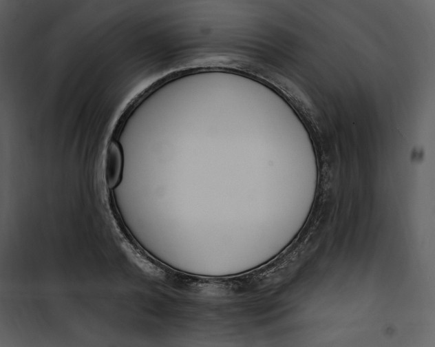 X0000101230792200807181602