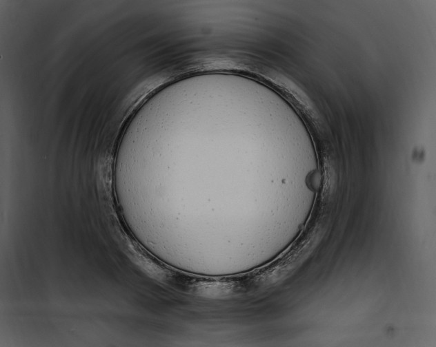 X0000101230793200807181602