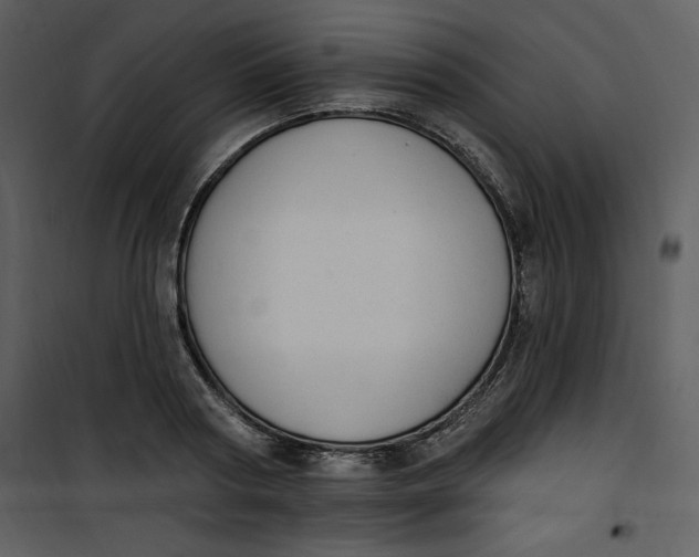 X0000101230794200807181602