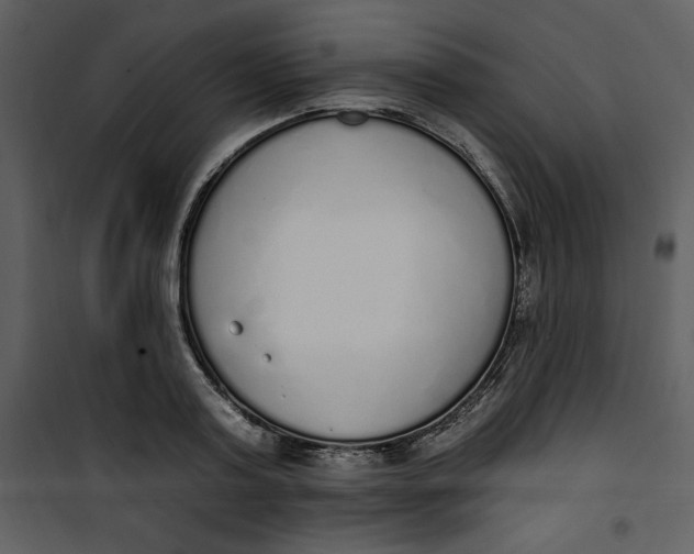 X0000101230795200807181602