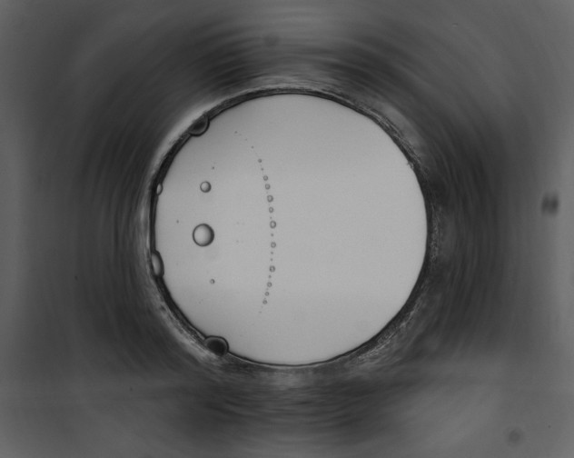 X0000101230796200807181602