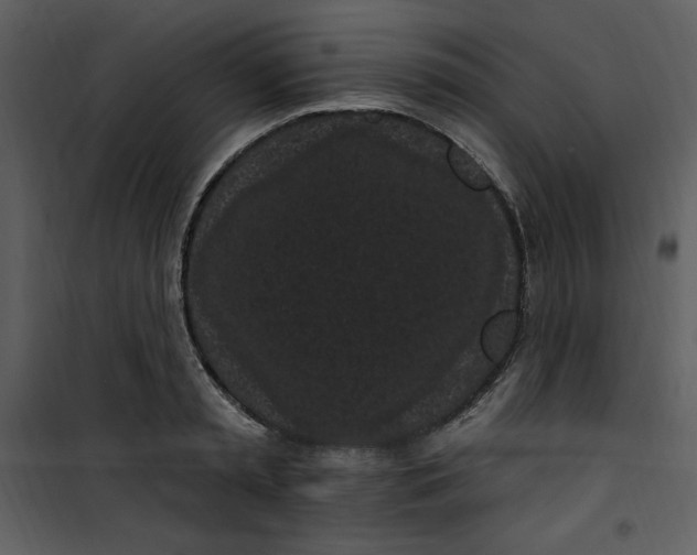 X0000101230797200807181602