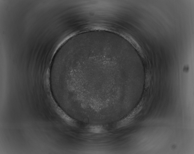 X0000101230798200807181602