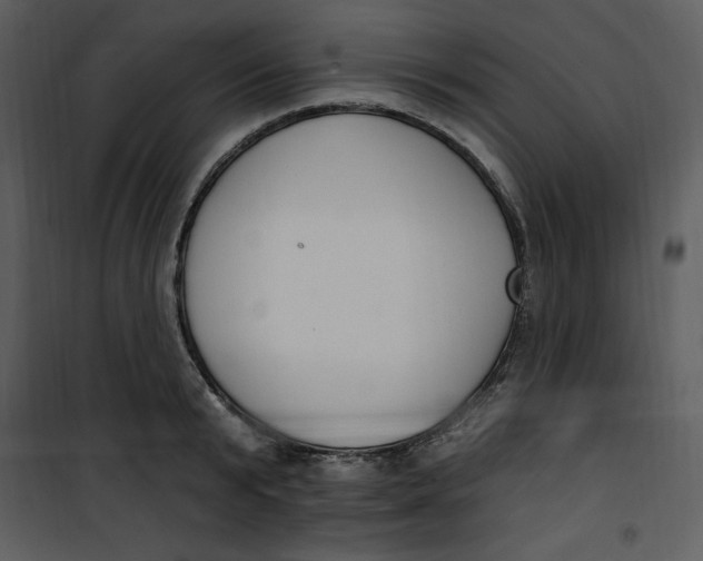 X0000101230799200807181601