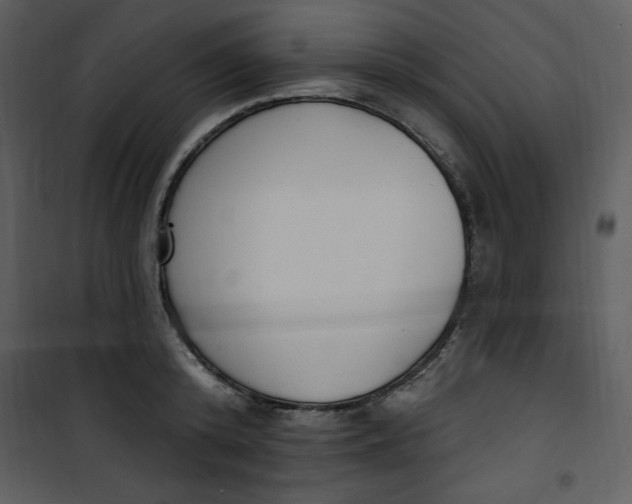 X0000101230800200807181601